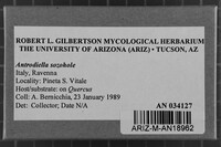 Image Associated With the Occurrence