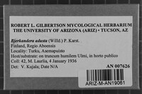 Image Associated With the Occurrence