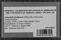 Image Associated With the Occurrence