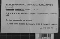 Image Associated With the Occurrence