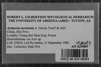 Image Associated With the Occurrence