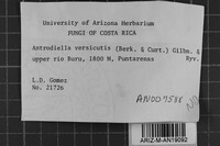 Image Associated With the Occurrence