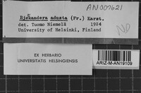 Image Associated With the Occurrence