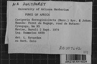 Image Associated With the Occurrence