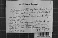 Image Associated With the Occurrence