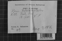 Image Associated With the Occurrence