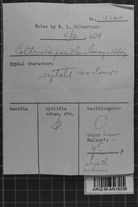 Image Associated With the Occurrence