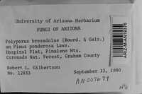 Image Associated With the Occurrence