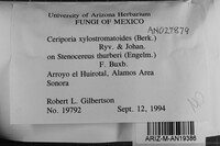 Image Associated With the Occurrence