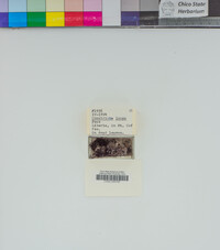 Image Associated With the Occurrence