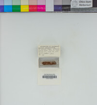 Image Associated With the Occurrence