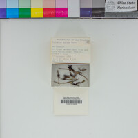 Image Associated With the Occurrence