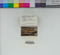 Image Associated With the Occurrence
