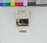 Image Associated With the Occurrence