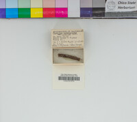 Image Associated With the Occurrence