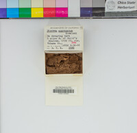Image Associated With the Occurrence