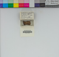 Image Associated With the Occurrence