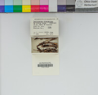 Image Associated With the Occurrence