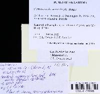 Image Associated With the Occurrence