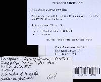 Image Associated With the Occurrence
