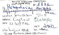 Biscogniauxia anceps image