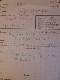 Xylaria telfairii image