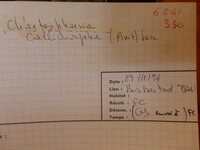 Image Associated With the Occurrence