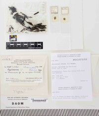 Image Associated With the Occurrence