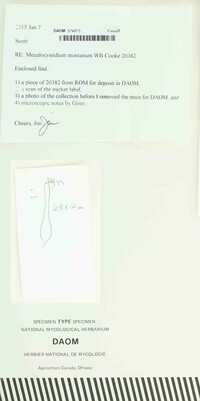 Image Associated With the Occurrence