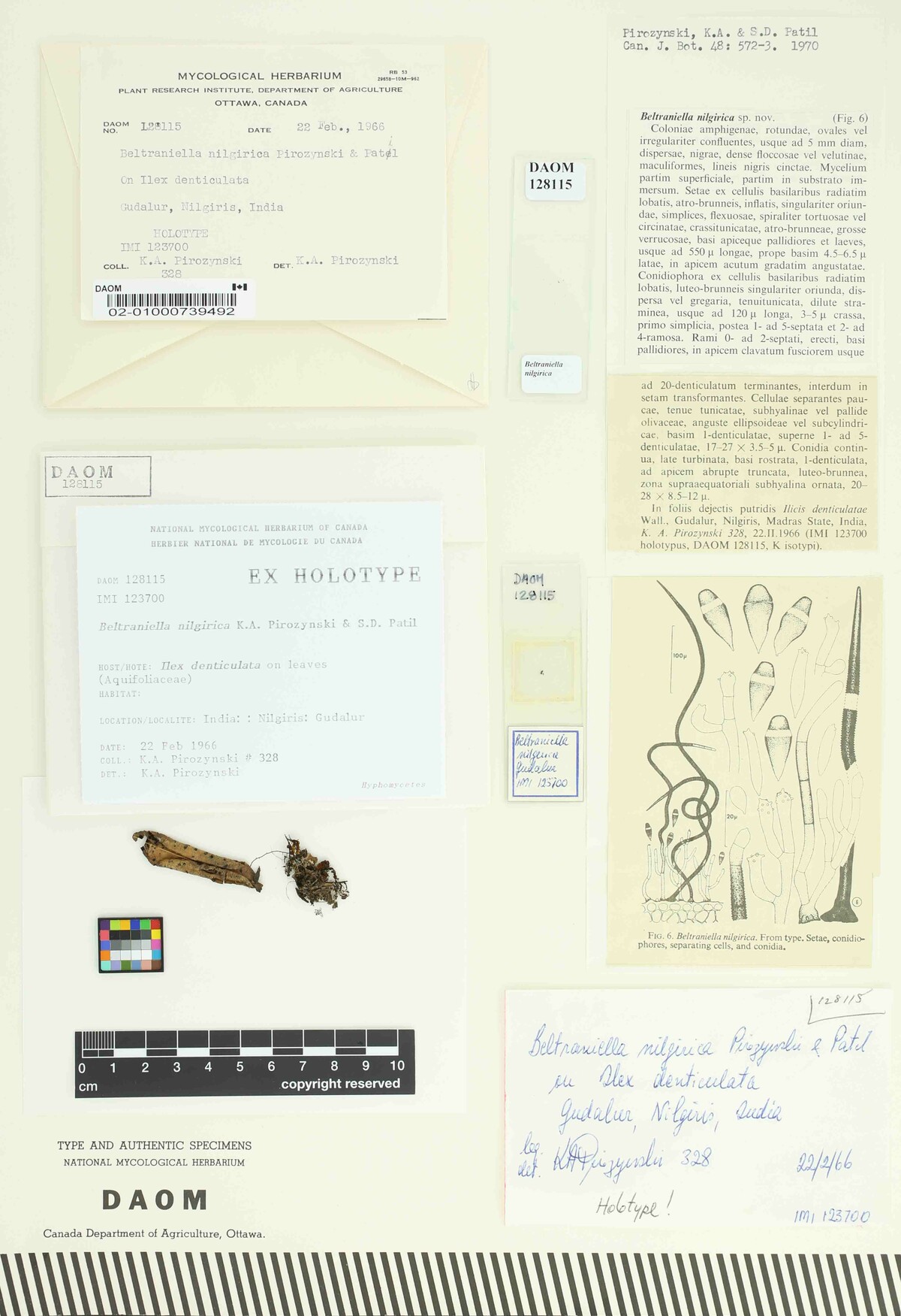 Beltraniella image