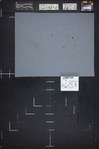 Image Associated With the Occurrence