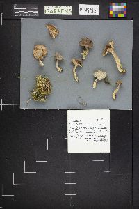 Image Associated With the Occurrence