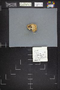 Image Associated With the Occurrence