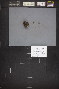 Image Associated With the Occurrence