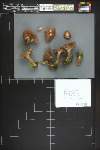 Image Associated With the Occurrence