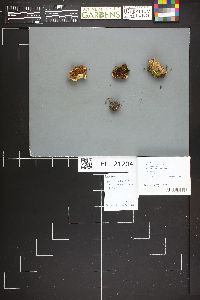 Image Associated With the Occurrence