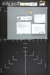 Image Associated With the Occurrence