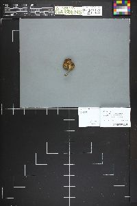 Image Associated With the Occurrence