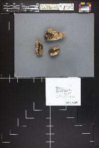 Image Associated With the Occurrence