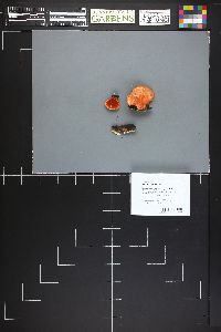 Image Associated With the Occurrence