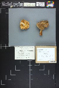 Image Associated With the Occurrence