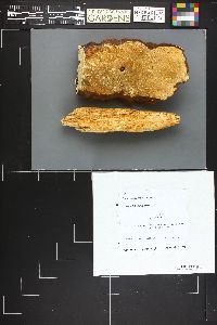 Image Associated With the Occurrence