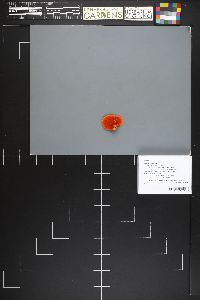 Image Associated With the Occurrence