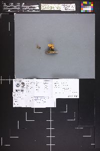 Image Associated With the Occurrence