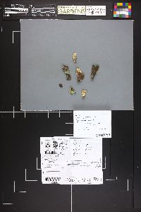 Image Associated With the Occurrence