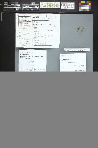 Image Associated With the Occurrence
