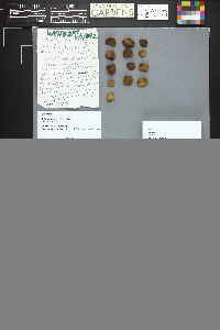 Image Associated With the Occurrence