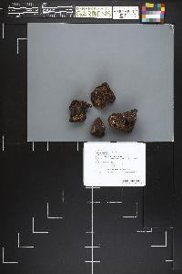 Image Associated With the Occurrence