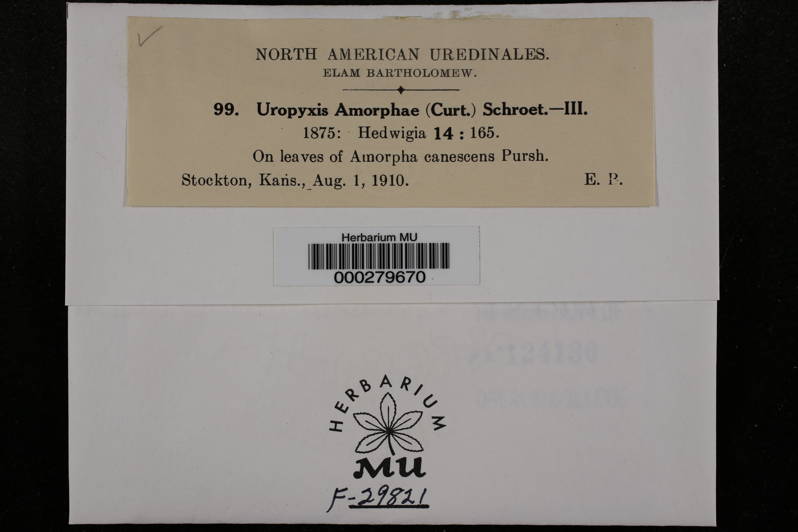 Uropyxis