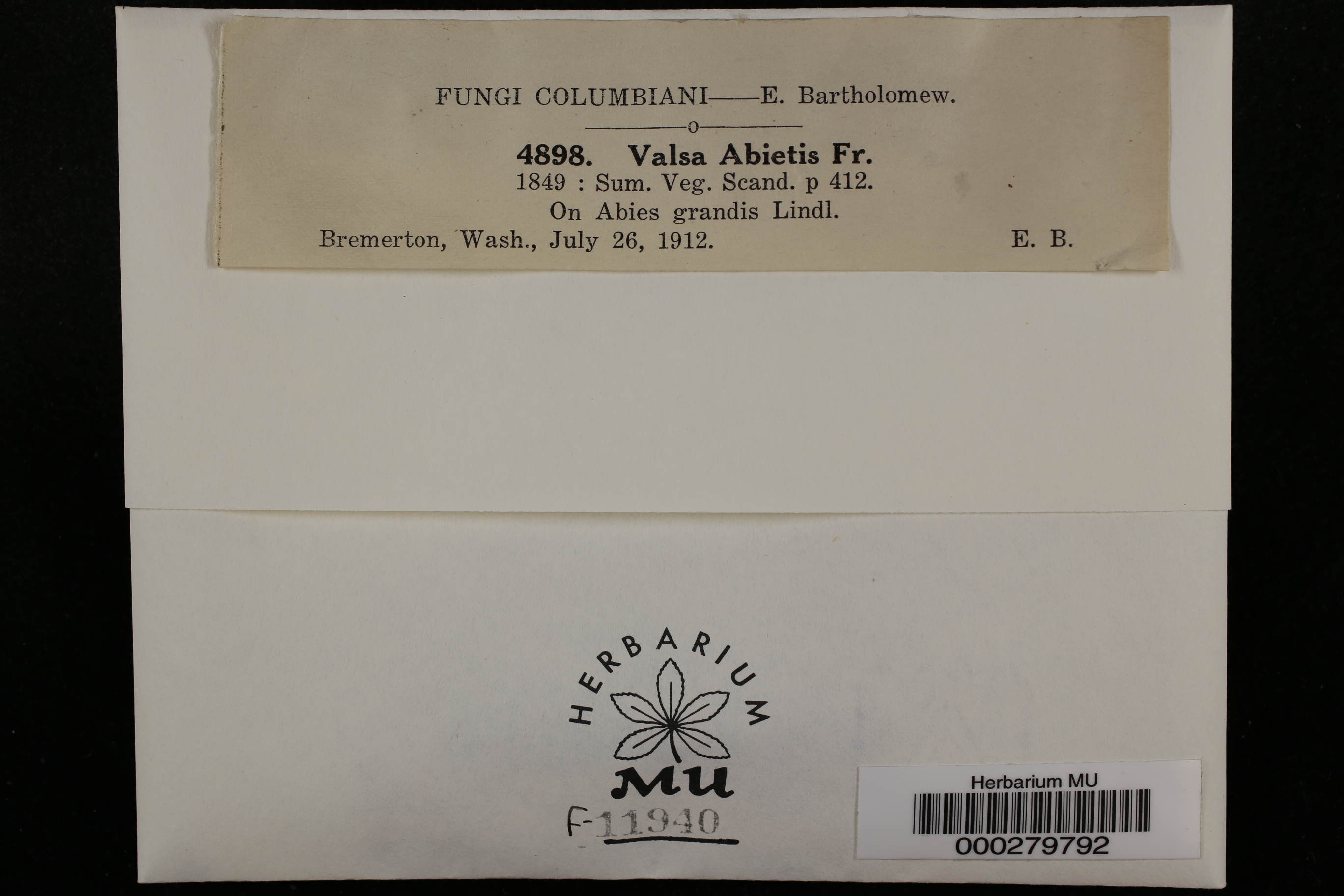 Valsa abietis